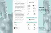 BLAU funca programa jornada 2018 - Grup Sagessa · IX Jornada del Programa de detecció precoç del càncer de mama de Tarragona – Terres de l’Ebre Auditori del Tívoli Passatge