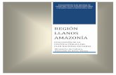 REGIÓN LLANOS AMAZONÍA - Mincultura · Se encuentra que en la región Llanos y Amazonía el componente que más se ha trabajado con un 31% es la apropiación, mejorando las condiciones