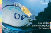 Guía de los Elasmobranquios de Europa - Oceana · 6 Guía de los Elasmobranquios de Europa * La Lista Roja de la Unión Internacional para la Conservación de la Naturaleza (IUCN,
