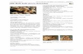Javier Blasco-Zumeta 055 Bufo bufo (Anura, Bufonidae)monteriza.com/wp-content/uploads/anfibios/055.bufo-bufo.pdf · Atlas y Libro Rojo de los anfibios y reptiles de España. Dirección