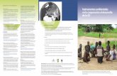 Conclusiones y recomendaciones Perfiles ambientales Instrumentos ambientales en la …awsassets.panda.org/downloads/transparency_summary___es.pdf · 2012-01-03 · en las delegaciones