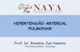 HIPERTENSÃO ARTERIAL PULMONARDEFINIÇÃO “Hipertensão arterial pulmonar é o aumento sustentado da pressão arterial pulmonar, maior que 35 mmHg (eco)” (Ware W. 2007; Henik R.A.