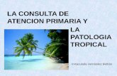 LA CONSULTA DE ATENCION PRIMARIA Y LA PATOLOGIA …fundacionio.org/docs/cursos/tropicales_atencion_primaria... · 2010-04-09 · -La consulta de Atención Primaría y el médico de