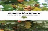 Fundación Roure - fundacioroure.org · CONSOLiDACióN, ASí COMO LA ADOPCióN DE LOS VALORES DE LA FuNDACióN. DEL 2018 DESTACAMOS 2.1 | Personas mayores 2.1.3 Vivir y Convivir Nos