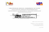 UNIVERSIDAD MIGUEL HERNÁNDEZ DE ELCHEdspace.umh.es/bitstream/11000/4169/1/TFG Jiménez... · La relación entre los melanocitos y los queratinocitos supone el escudo protector contra