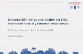 Generación de capacidades en LAC · nacional, abril 2016. 3. Apoyo técnico en la evaluación de la degradación de los bosques a través de teledetección. Taller nacional, abril