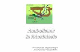 Presentación organizada por José Antonio Pascual Trillojapt.es/bio2bach/METABOLISMO/anabolismo.pdf · Los dos fotosistemas pueden actuar conjuntamente - proceso conocido como esquema