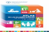 Atlas de la Mujer Rural en América Latina y el Caribe€¦ · ATLAS DE LAS MUJERES RURALES DE AMÉRICA LATINA Y EL CARIBE 3 raniación de las aciones Unidas para la Alimentación