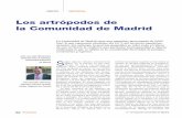 Los artrópodos de la Comunidad de Madrid · HEXÁPODOS E n el pasado, Hexápodos e Insec-tos eran términos sinónimos. Sin embargo, en la actualidad se distingue entre Hexapoda,