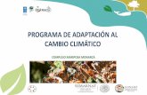 PROGRAMA DE ADAPTACIÓN AL CAMBIO CLIMÁTICOiki-alliance.mx/wp-content/uploads/CONANP-RBMM.pdf · PROGRAMA DE ADAPTACIÓN AL CAMBIO CLIMÁTICO COMPLEJO MARIPOSA MONARCA. 1. PN Constitución