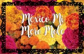 ¡ México mi mero moleoniric.com.mx/wp-content/uploads/2018/01/MMM_-Oniric.pdf · Tres personajes de la lotería mexicana, El Catrin, El Borracho y La Sirena, emprenden un viaje
