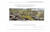 DOCUMENTO TÉCNICO UNIFICADOsinat.semarnat.gob.mx/dgiraDocs/documentos/CUSF/06... · ambiental del sistema ambiental de la cuenca 32 IV.2.2 Medio físico 34 ... 69 Clase de erosión