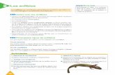 Los anfibios En la webiespoetaclaudio.centros.educa.jcyl.es/.../1.anfibios.pdf · 2014-08-02 · 36 Los anfibios Los anfibios son vertebrados, generalmente terrestres, que deben vi-