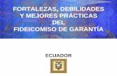 FORTALEZAS, DEBILIDADES Y MEJORES PRÁCTICAS DEL ...felaban.s3-website-us-west-2.amazonaws.com/... · FORTALEZAS LA CODIFICACIÓN DE RESOLUCIONES DEL CONSEJO NACIONAL DE VALORES (CNV)