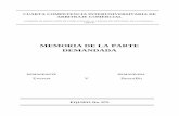 MEMORIA DE LA PARTE DEMANDADA - CRECIGcrecig.com.gt/sites/default/files/contestacion_975.pdf · Constitución, Carta M agna, CPRG Constitución Política de la República de Guatemala