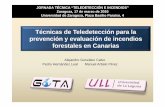 Técnicas de Teledetección para la prevención y evaluación ... · usando imÁgenes de satÉlite y datos de campo integrados en un sig (2006-2008) contratos de investigación prevenciÓn