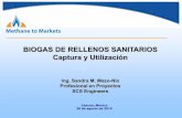 BIOGAS DE RELLENOS SANITARIOS Captura y UtilizaciónX(1)S(xfrwcis4nrvvhdp4t4eybafe))/documents/events_land...Operaciones y mantenimiento que afectan la generación del biogás. –
