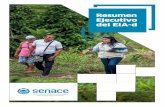 Resumen Ejecutivo del EIA-d - SENACE · Breve descripción del proyecto Marco legal que sustenta el EIA-d y el proceso de evaluación de impacto ambiental Delimitación del área