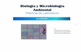 BIOLOGÍA Y MICROBIOLOGÍA · 7 1. INTRODUCCIÓN La Microbiología es la ciencia encargada del estudio de los microorganismos, seres vivos pequeños (del griego « µικρος»