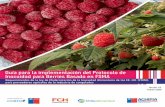 Guía para la implementación del Protocolo de Inocuidad ...€¦ · la colaboración de la Agencia Chilena para la Inocuidad y Calidad alimentaria (ACHIPIA) y NSF International Chile