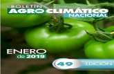 ENERO - fenalce.org · Boletín Nacional Agroclimático - Enero 2019 6 REGIÓN ORINOQUÍA: ENERO: Se estiman precipitaciones por debajo de los promedios climatológicos con probabilidades