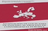 €¦ · Adaptación de los Planes de Estudio al proceso de Convergencia Europea 8 Diagrama 9: Modelo Global para la elaboración y homologación de un
