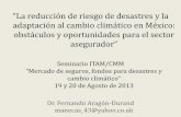 La reducción de riesgo de desastres y la adaptación al ...centromariomolina.org/wp-content/uploads/2013/08/10... · Seminario ITAM/CMM Mercado de seguros, fondos para desastres