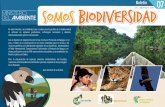 Somos Biodiversidad julio - septiembre de 2018areasprotegidas.ambiente.gob.ec/sites/default/files... · Cóndor 2018 01 M ás de 500 observadores voluntarios participaron en el II