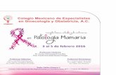 Sociedad Española de Anatomía Patológica (SEAP) - …mamaria+-+mejico+2016.pdf · 2015-12-14 · 7o Curso Internacional Dr. Francisco Tenorio González Concep tos básicos, actuales