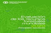 Evaluación de los recursos forestales mundiales 2020 · 2020-05-07 · 2 Evaluación de los recursos forestales mundiales 2020 Principales resultados La superficie forestal mundial