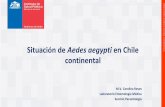 Situación de Aedes aegypti en Chile - ARCA: Home€¦ · Aedes aegypti en Chile continental 1948-Se distribuyó entre los 18° Lat. S (Arica) y 29° Lat. S (Caldera). El punto más