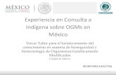 Experiencia en Consulta a Indígena sobre OGMs en México · 4 LA CONSULTA INDIGENA • Convenio 169 de la OIT establece el derecho y la obligación de la consulta de los pueblos