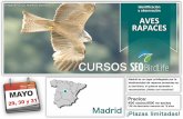 curso rapaces madrid - SEO/BirdLife · curso -para aprovechar la información de mayor actualidad acerca de la fauna, la ﬂora el lugar-, cuando, junto con otra información de interés