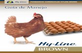 PONEDORAS COMERCIALES HY-LINE BROWN Guía de Manejo · El potencial genético de las aves Comerciales Hy-Line Brown se puede alcanzar únicamente si se utilizan buenas prácticas