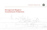 Презентация PowerPoint · 10 Novgorod Region Government of Novgorod Land is the Choice of Foreign Investors Novgorod region was the first to enter the market of foreign