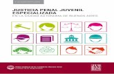 JUSTICIA PENAL JUVENIL ESPECIALIZADAeditorial.jusbaires.gob.ar/descargar/75.pdf · materia Penal Juvenil, a fin de adecuar la prestación de justicia a las obli-gaciones asumidas