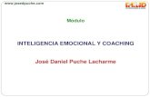 INTELIGENCIA EMOCIONAL Y COACHING José Daniel Puche … · 2014-08-04 · El término Inteligencia Emocional se refiere a la capacidad de reconocer lo que sentimos, entenderlo, regularlo