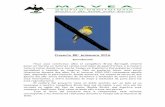 Proyecto BB: primavera 2016 - Grupu d'ornitoloxía Mavea · Proyecto BB: primavera 2016 Introducción Hace unos veinticinco años el compañero Bruno Barragán intentó poner en marcha