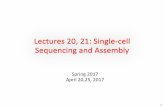 Lectures(20,(21:(Single3cell( Sequencing(and(Assembly(cs425/spring17/slides/... · Build a colored de Bruijn graph from the colored datasets. ! Iteratively remove errors, condense,