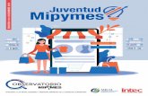 DICIEMBRE 2019 Mipymes Juventud · 2019-12-09 · en República Dominicana en la Ley General de la Juventud 49-00. En República Dominicana, el 64.4% de las empresas formales que