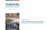 PILOTAJE AREAS METROPOLITANAS · Presentación de PowerPoint Author: Juan Sebastian Alcayaga Claussen Created Date: 5/4/2017 5:26:35 PM ...