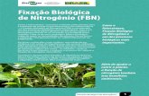 Fixação Biológica de Nitrogênio (FBN) DE NITROGENIO.pdffixação do nitrogênio atmosférico. A pesquisa agropecuária brasileira já identificou dezenas dessas bactérias, capazes