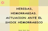 HERIDAS, HEMORRAGIAS. ACTUACION ANTE EL SHOCK …reanimovil.com/Media/reanimovil/dayvo/pdf/TEMAS...HERIDAS, HEMORRAGIAS. ACTUACION ANTE EL ... Control circulatorio y hemorragias. 4.