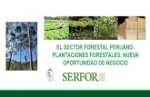 EL SECTOR FORESTAL PERUANO: PLANTACIONES FORESTALES, … · PLANTACIONES FORESTALES, NUEVA OPORTUNIDAD DE NEGOCIO . 1. Nuestra realidad 2. ¿Qué estamos haciendo? 3. Nuevas oportunidades