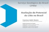 Serviço Geológico do Brasil CPRM Avaliação do Potencial do ...mineralis.cetem.gov.br/bitstream/cetem/2118/2/02... · Serviço Geológico do Brasil CPRM Avaliação do Potencial