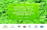 Golfo de Nicoya Costa Rica › wp-content › uploads › 2019 › ... · 200 especies de poliquetos (Dean. 1996), 10 especies de estomatópodos, 95 especies de decápodos (Vargas,