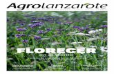 FLORECER - Agrolanzarote | La web del campo de Lanzarote · aporten su DNI, la relación de crotales y el libro ganadero de su explotación. En el último censo realizado en 2013,