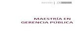 MAESTRÍA EN GERENCIA PÚBLICA - Gobtransparencia.mtc.gob.pe/idm_docs/Oper_Personal/2597.pdf · y expectativas de desarrollo del país, con capacidades operativas para generar y gestionar