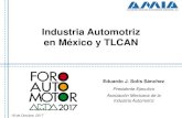 Industria Automotriz en México y TLCAN...Industria Automotriz en el PIB –Del 2008 a 2016, la industria automotriz ha crecido de forma dramática, al incrementar su participación