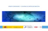 INFORME CANCERÍGENOS - UGT Madrid › sites › madrid.ugt.org › files › ...Definición El cáncer es una enfermedad que se produce al dañarse el ADN y/o los mecanismos que lo